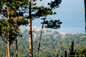 Ocean Pines #50