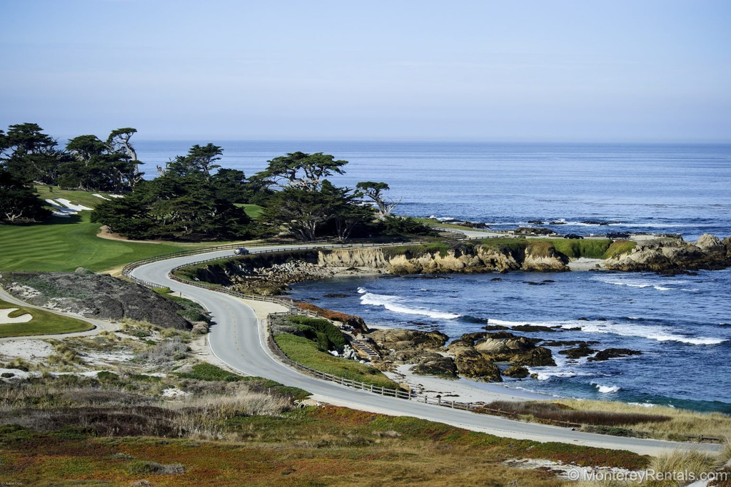 photo_pebble_beach_14329