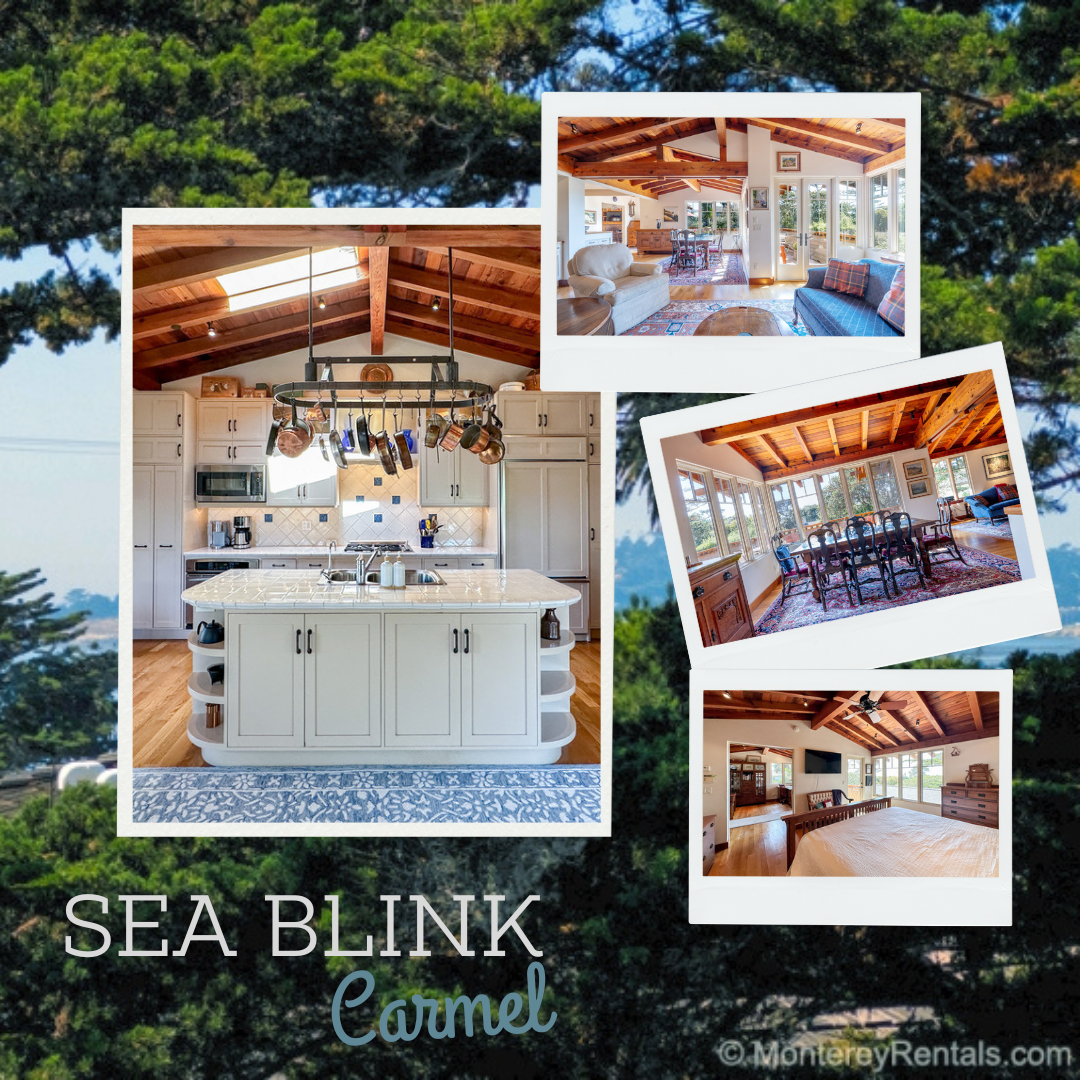 SeaBlink Carmel